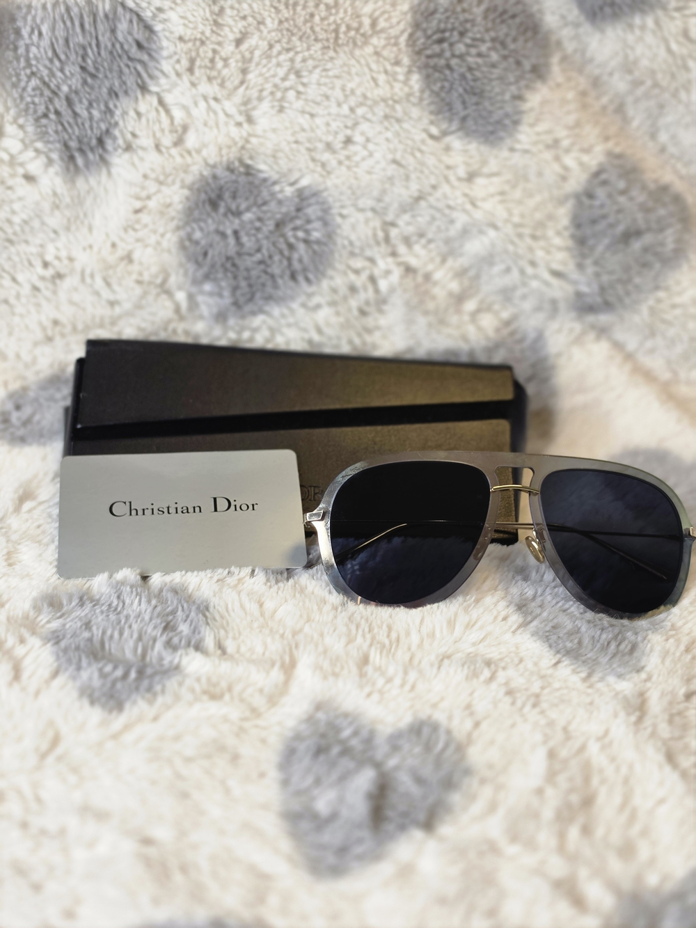Dior Unisex Silver Aviator Sunglasses - Silver/Blue